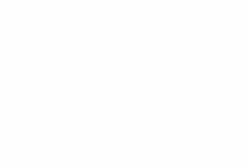 Logo marque Visimaxi - la visibilité au maximum
